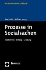 Prozesse in Sozialsachen