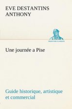 journee a Pise guide historique, artistique et commercial