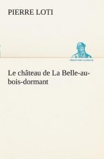 chateau de La Belle-au-bois-dormant