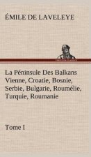 La Peninsule Des Balkans Vienne, Croatie, Bosnie, Serbie, Bulgarie, Roumelie, Turquie, Roumanie - Tome I