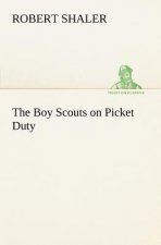 Boy Scouts on Picket Duty