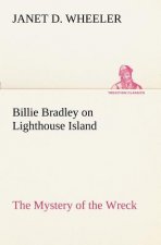 Billie Bradley on Lighthouse Island The Mystery of the Wreck