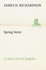 Spring Street A Story of Los Angeles