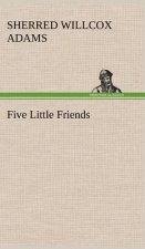 Five Little Friends