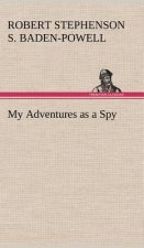 My Adventures as a Spy