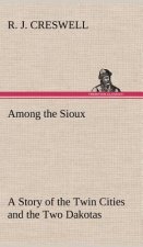 Among the Sioux A Story of the Twin Cities and the Two Dakotas
