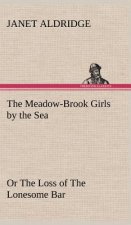 Meadow-Brook Girls by the Sea Or The Loss of The Lonesome Bar