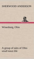 Winesburg, Ohio; a group of tales of Ohio small town life