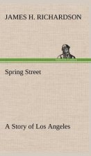 Spring Street A Story of Los Angeles