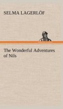 Wonderful Adventures of Nils