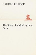 Story of a Monkey on a Stick