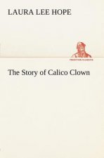 Story of Calico Clown
