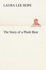 Story of a Plush Bear
