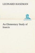 Elementary Study of Insects