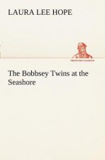 Bobbsey Twins at the Seashore