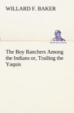 Boy Ranchers Among the Indians or, Trailing the Yaquis