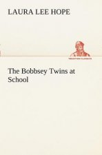 Bobbsey Twins at School
