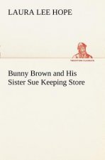 Bunny Brown and His Sister Sue Keeping Store