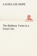 Bobbsey Twins in a Great City