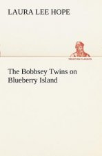 Bobbsey Twins on Blueberry Island