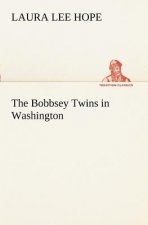Bobbsey Twins in Washington