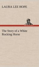 Story of a White Rocking Horse