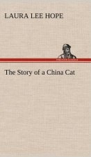 Story of a China Cat