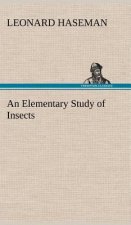 Elementary Study of Insects
