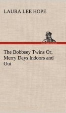 Bobbsey Twins Or, Merry Days Indoors and Out