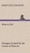 What to Do? Thoughts Evoked By the Census of Moscow