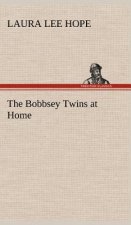 Bobbsey Twins at Home