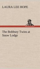 Bobbsey Twins at Snow Lodge