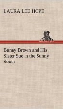 Bunny Brown and His Sister Sue in the Sunny South