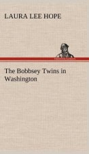 Bobbsey Twins in Washington