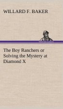 Boy Ranchers or Solving the Mystery at Diamond X