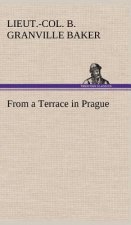 From a Terrace in Prague