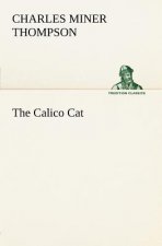 Calico Cat