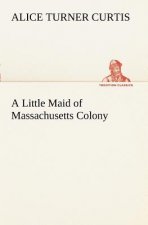 Little Maid of Massachusetts Colony