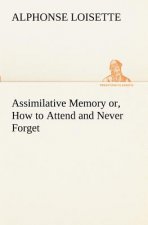 Assimilative Memory or, How to Attend and Never Forget