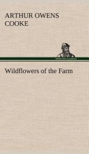 Wildflowers of the Farm