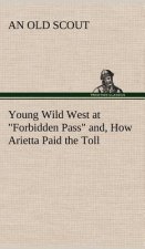Young Wild West at Forbidden Pass and, How Arietta Paid the Toll