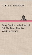 Betty Gordon in the Land of Oil The Farm That Was Worth a Fortune