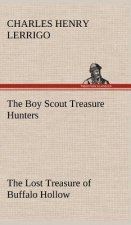 Boy Scout Treasure Hunters The Lost Treasure of Buffalo Hollow