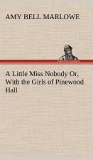 Little Miss Nobody Or, With the Girls of Pinewood Hall