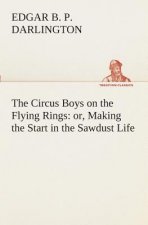 Circus Boys on the Flying Rings