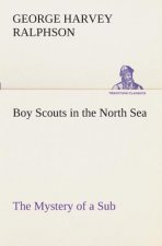 Boy Scouts in the North Sea The Mystery of a Sub