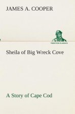 Sheila of Big Wreck Cove A Story of Cape Cod