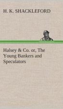 Halsey & Co. or, The Young Bankers and Speculators