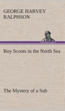 Boy Scouts in the North Sea The Mystery of a Sub