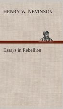 Essays in Rebellion
